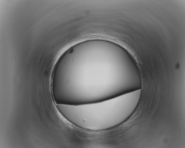 X0000091481535200708161138
