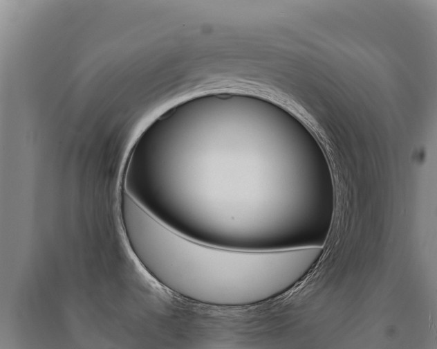 X0000091481536200708161138