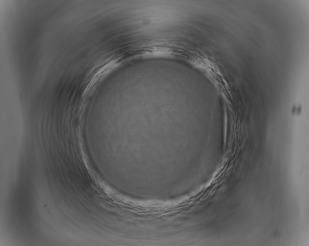 X0000091480001200708161428