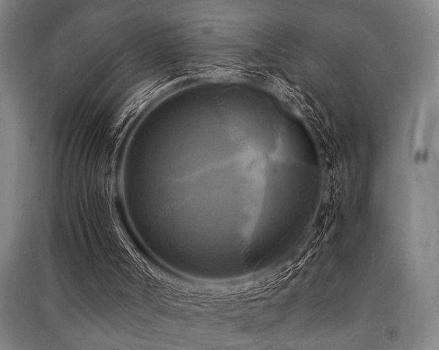 X0000091480002200708161428