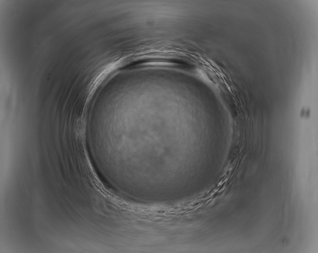 X0000091480003200708161428