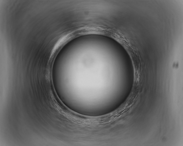 X0000091480004200708161428