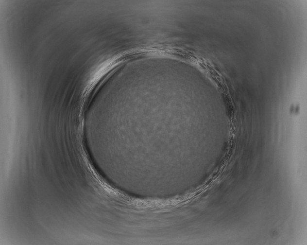 X0000091480005200708161428