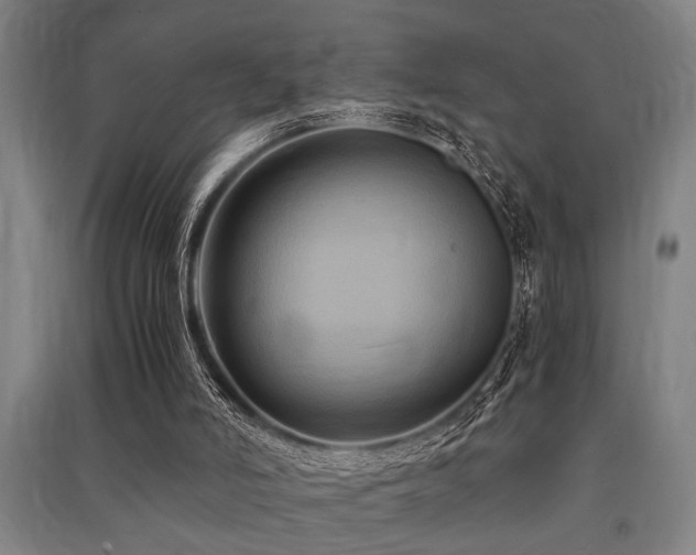 X0000091480006200708161428