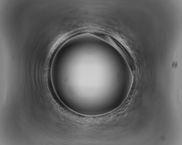 X0000091480007200708161428