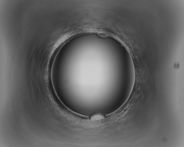 X0000091480008200708161428