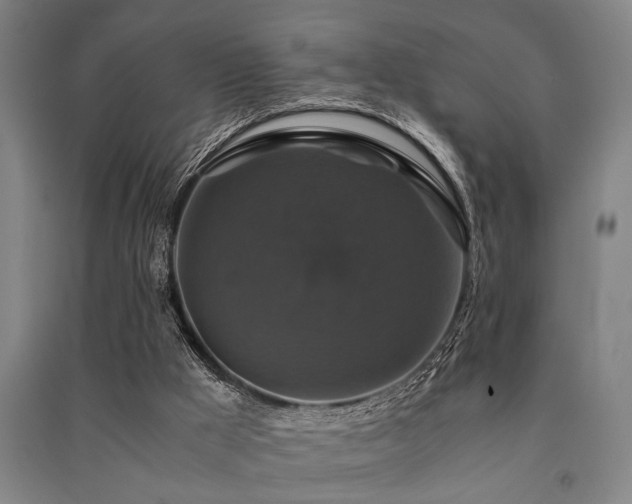 X0000091480009200708161428