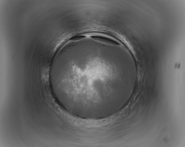 X0000091480010200708161428