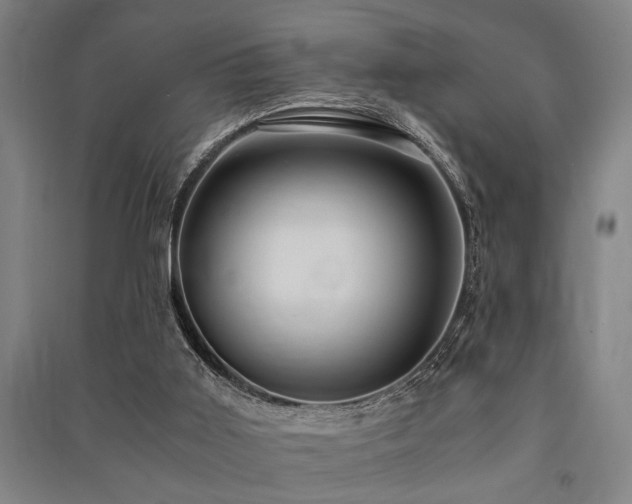 X0000091480011200708161428