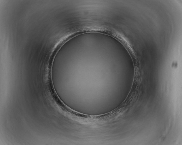 X0000091480012200708161428