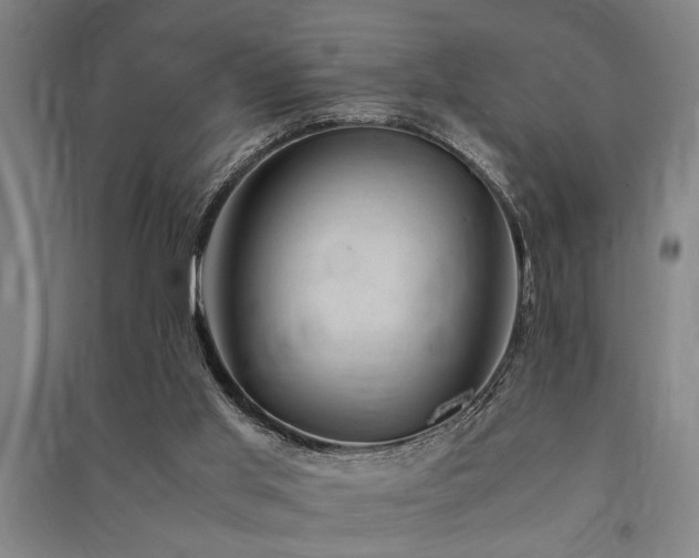 X0000091480013200708161428