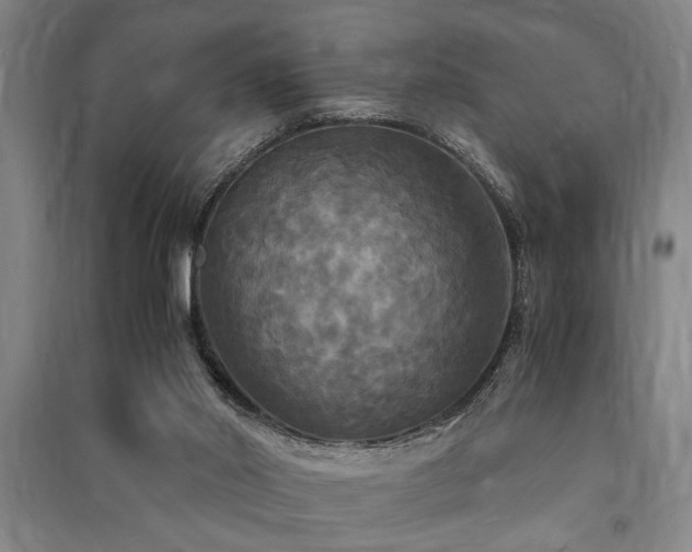 X0000091480014200708161428