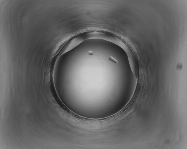 X0000091480015200708161428