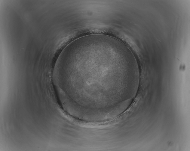 X0000091480017200708161428