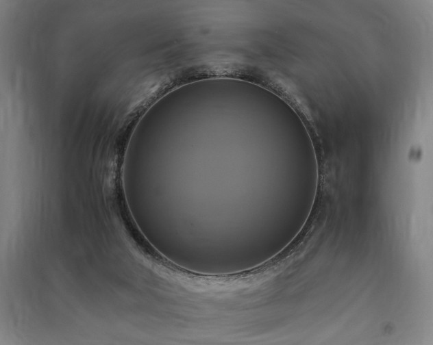 X0000091480018200708161428