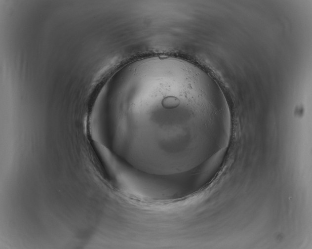 X0000091480019200708161428