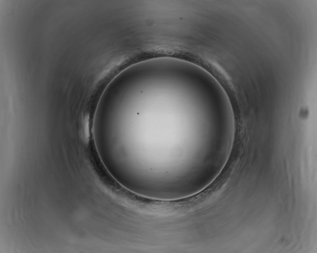 X0000091480020200708161428