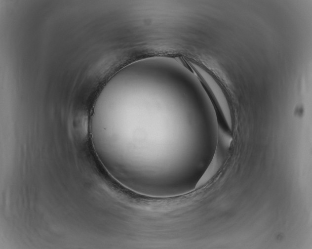 X0000091480021200708161428