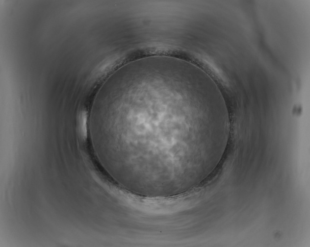 X0000091480022200708161428