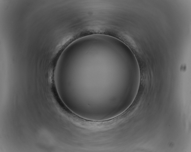 X0000091480023200708161428