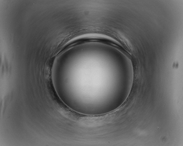 X0000091480025200708161427