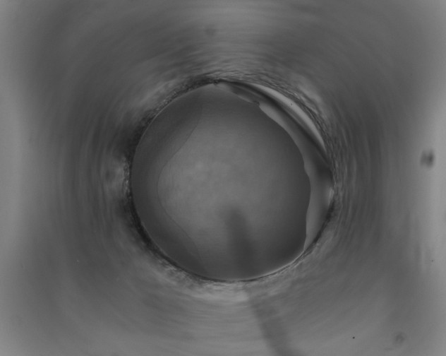 X0000091480029200708161427