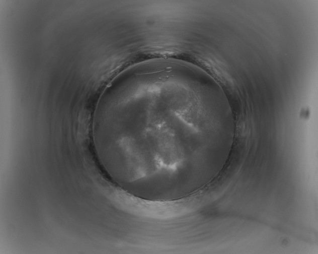 X0000091480030200708161427