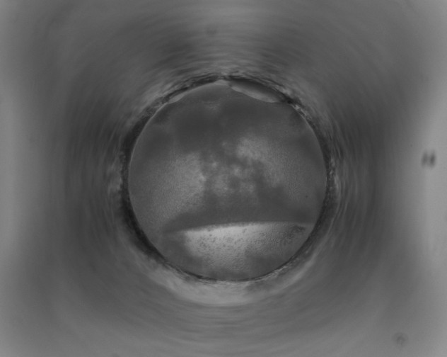 X0000091480032200708161427