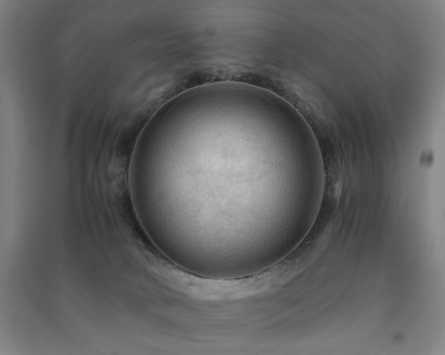 X0000091480034200708161427