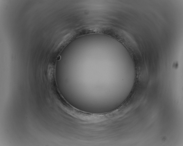 X0000091480036200708161427