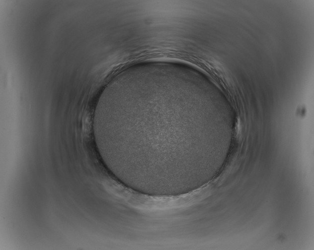 X0000091480037200708161427