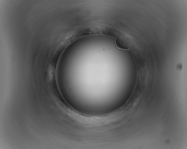 X0000091480038200708161427