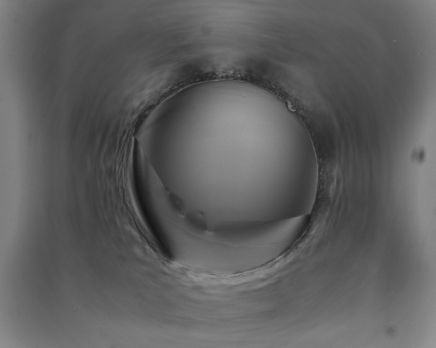 X0000091480039200708161427