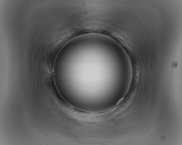 X0000091480040200708161427