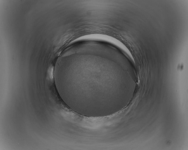 X0000091480041200708161427