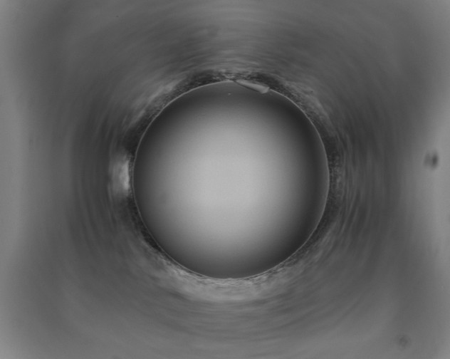 X0000091480042200708161427