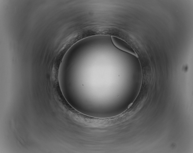 X0000091480044200708161427