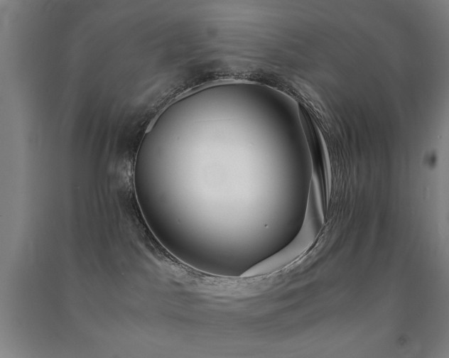 X0000091480045200708161427