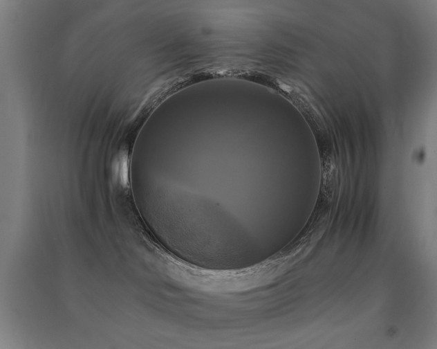 X0000091480046200708161427