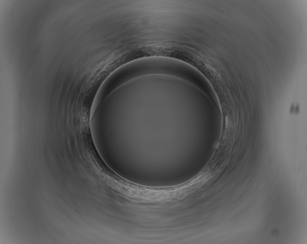 X0000091480048200708161427