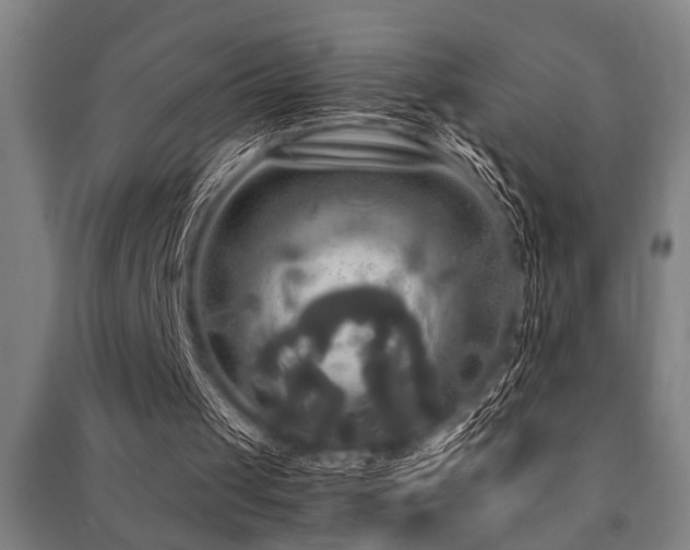 X0000091480049200708161427