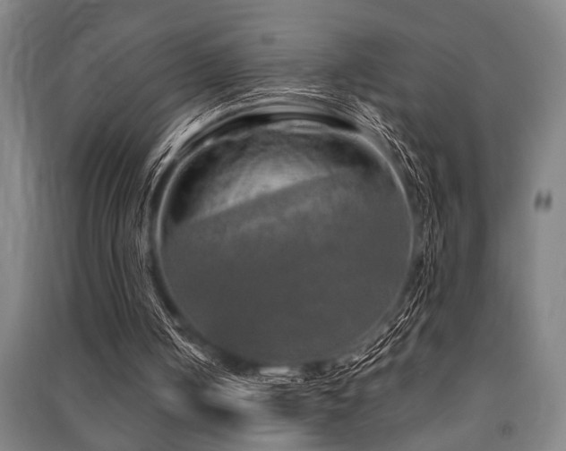 X0000091480050200708161427