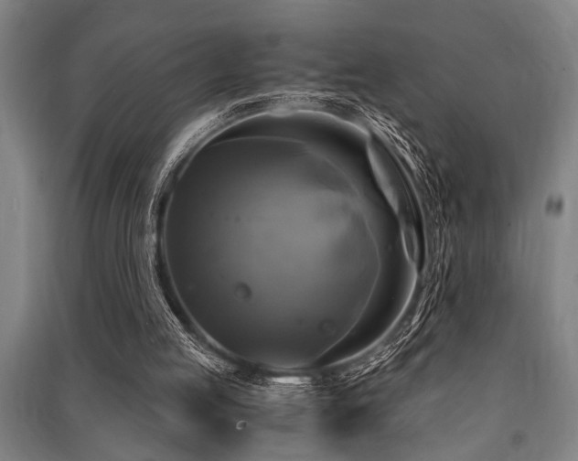 X0000091480053200708161427