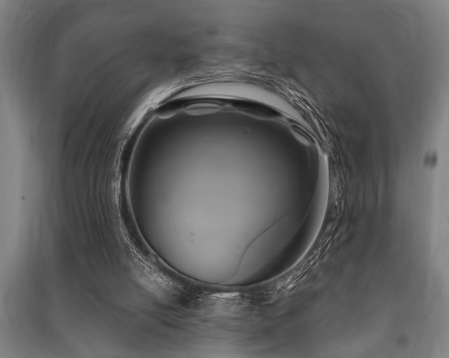 X0000091480054200708161427