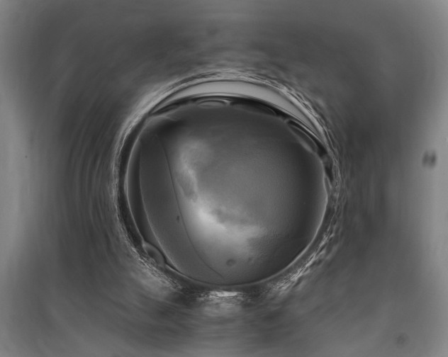 X0000091480055200708161427