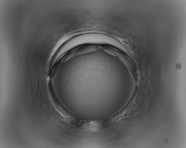 X0000091480056200708161427