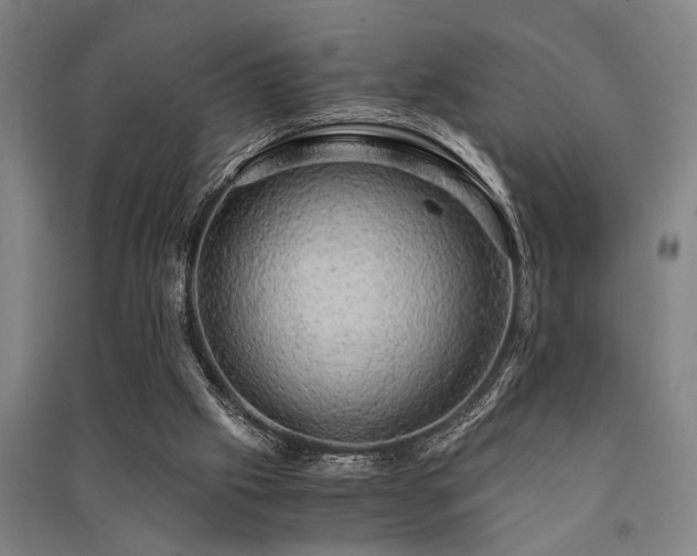 X0000091480057200708161427