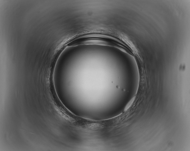 X0000091480058200708161427