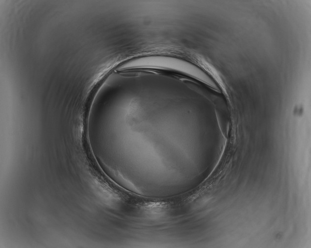 X0000091480059200708161427