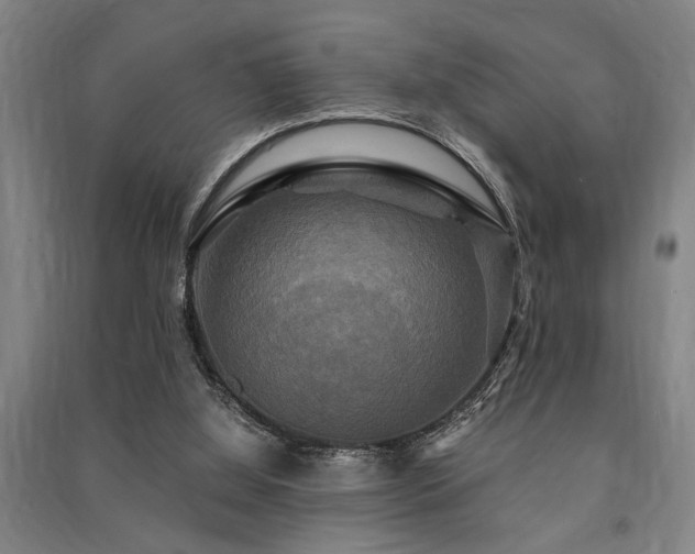 X0000091480060200708161427